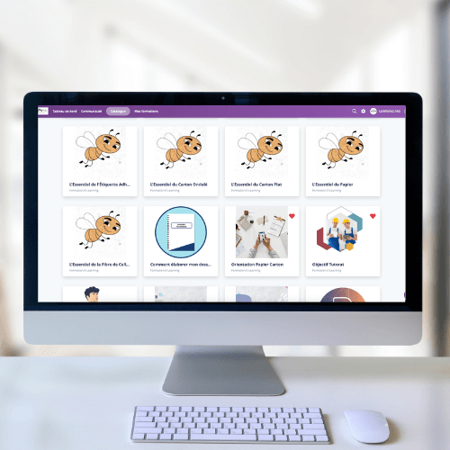 MLF-Site-Vitrine-5